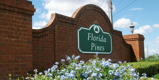 Florida Pines